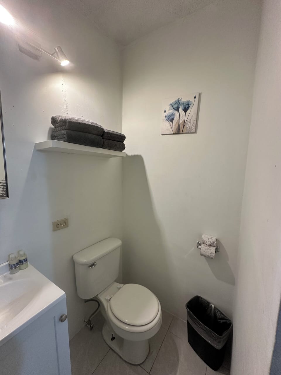 Shower, towels, soap, shampoo