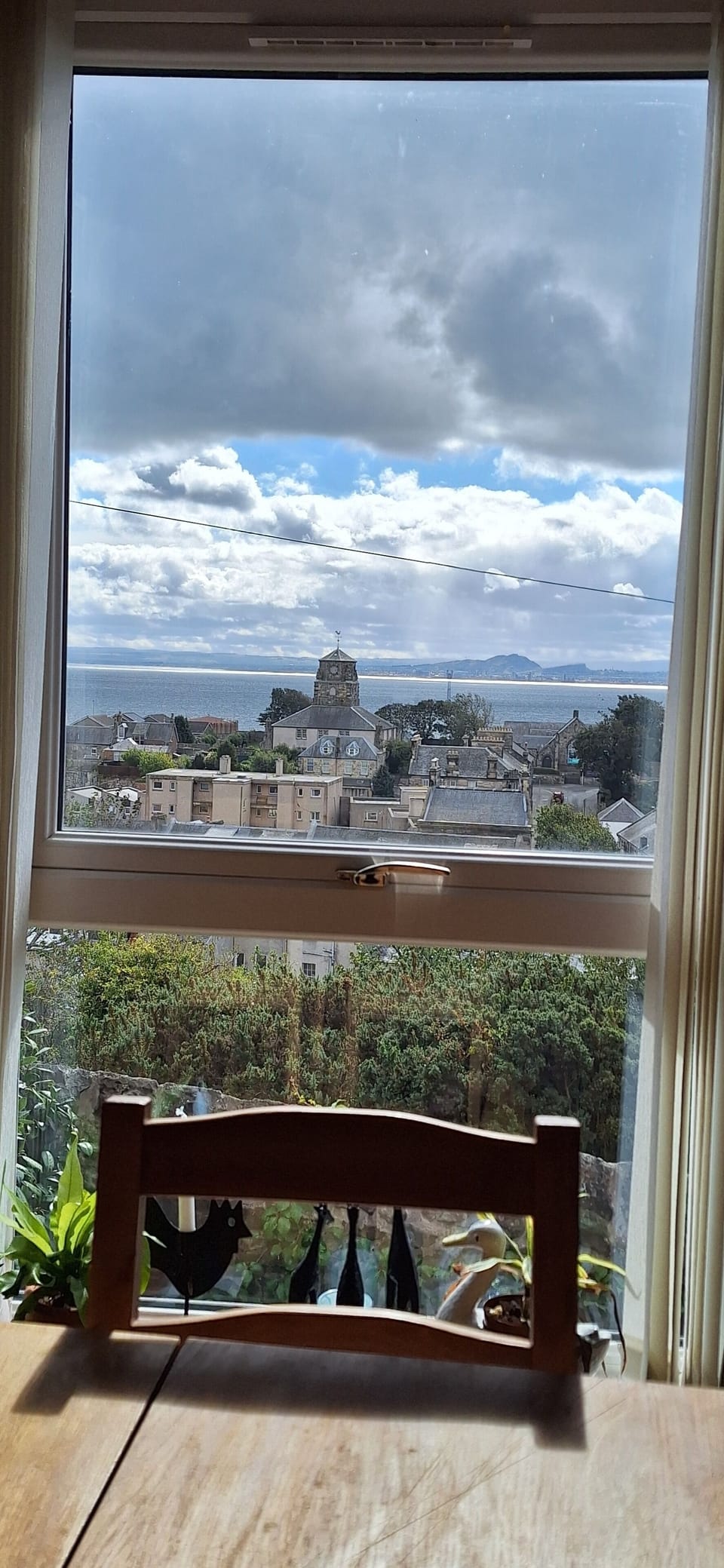 view from dining table
