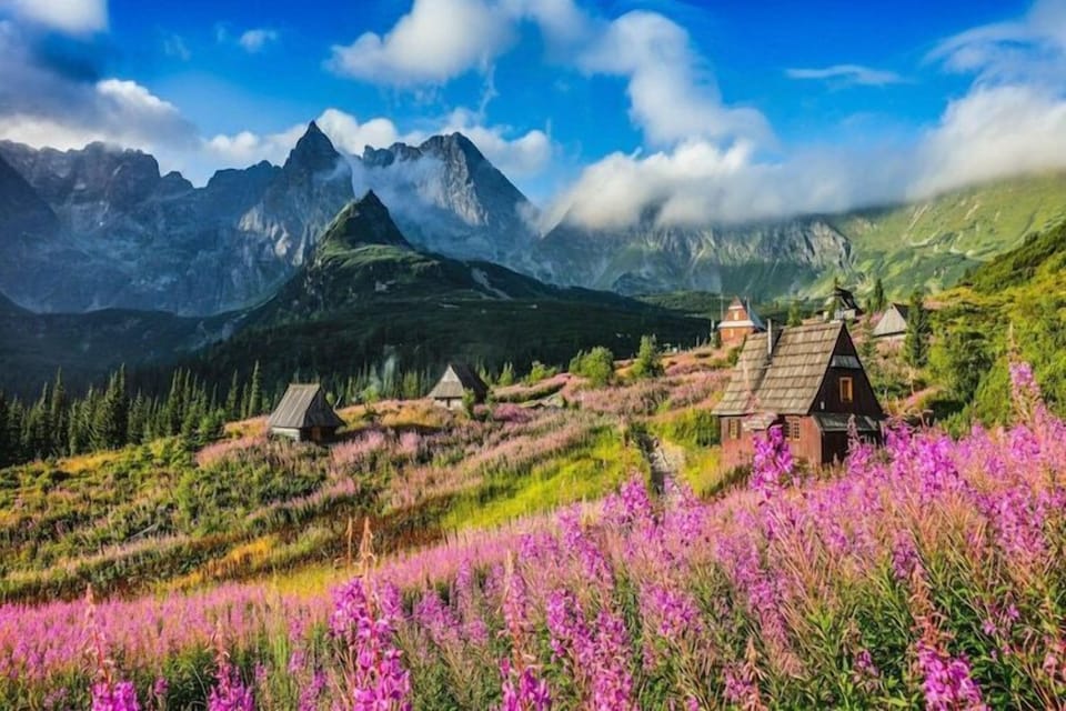 Surroundings [summer] (1-5 km)
