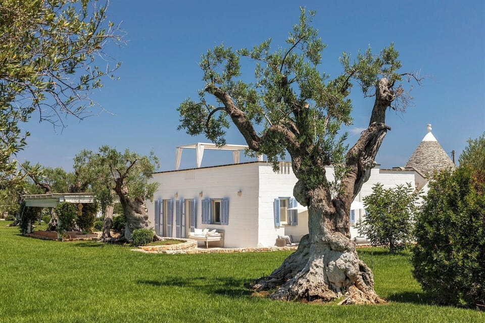 The grounds at Trullo del Sale are dotted with age-old olive trees.