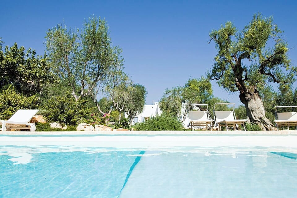 The refreshing waters of the pool.
