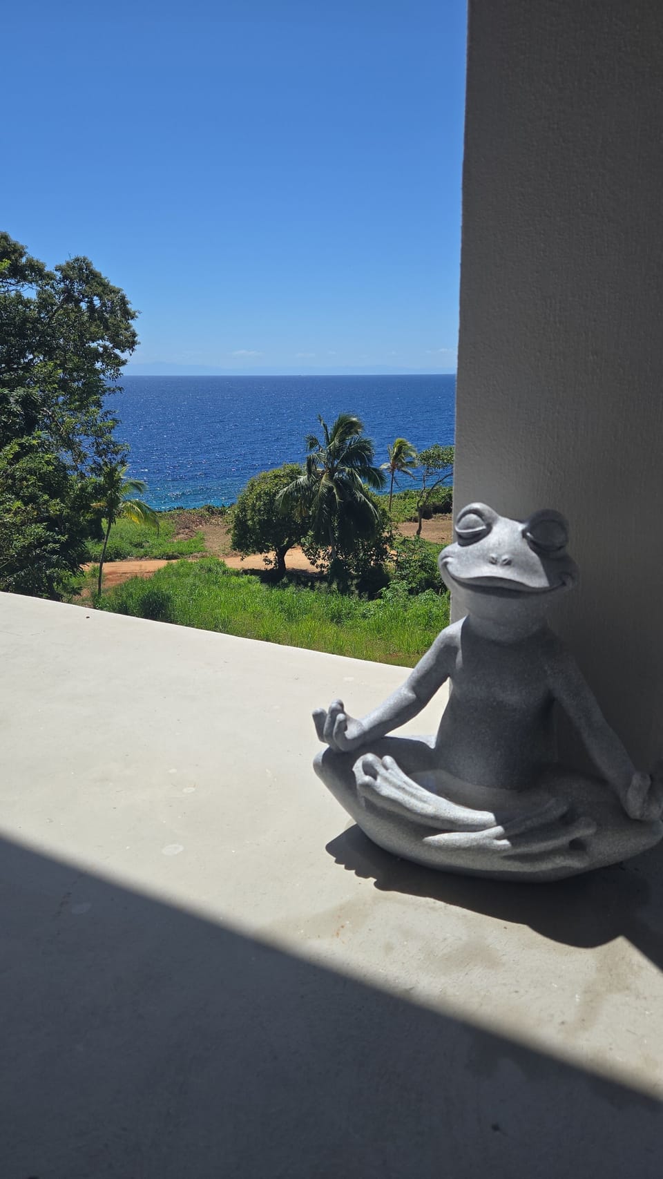 View from property
