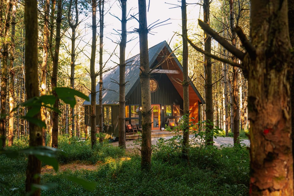 The Carpenter's Cabin sits in the middle of our pine forest, 7 beds