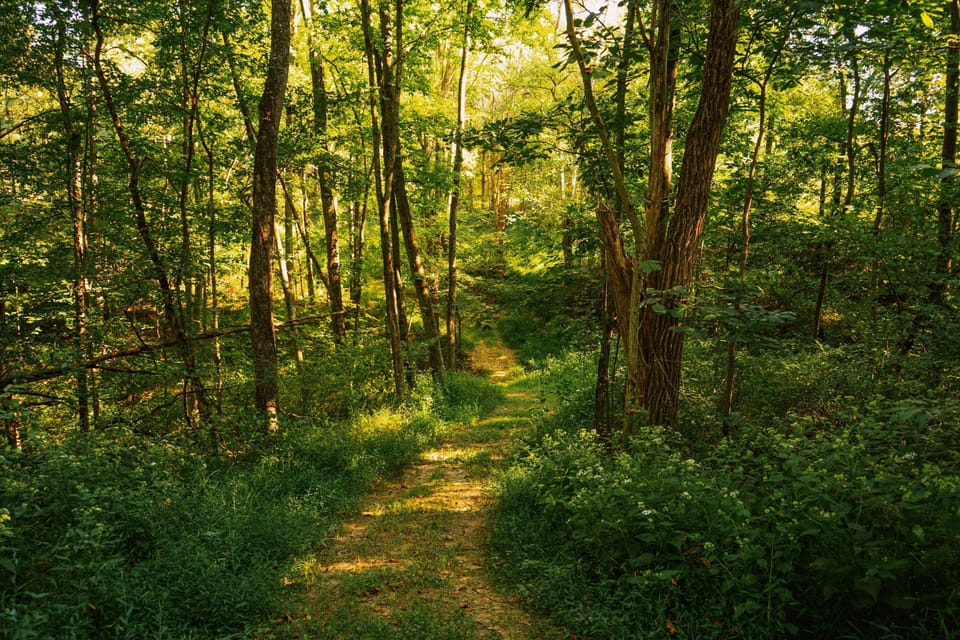 Our on-site trails are beautiful any time of year