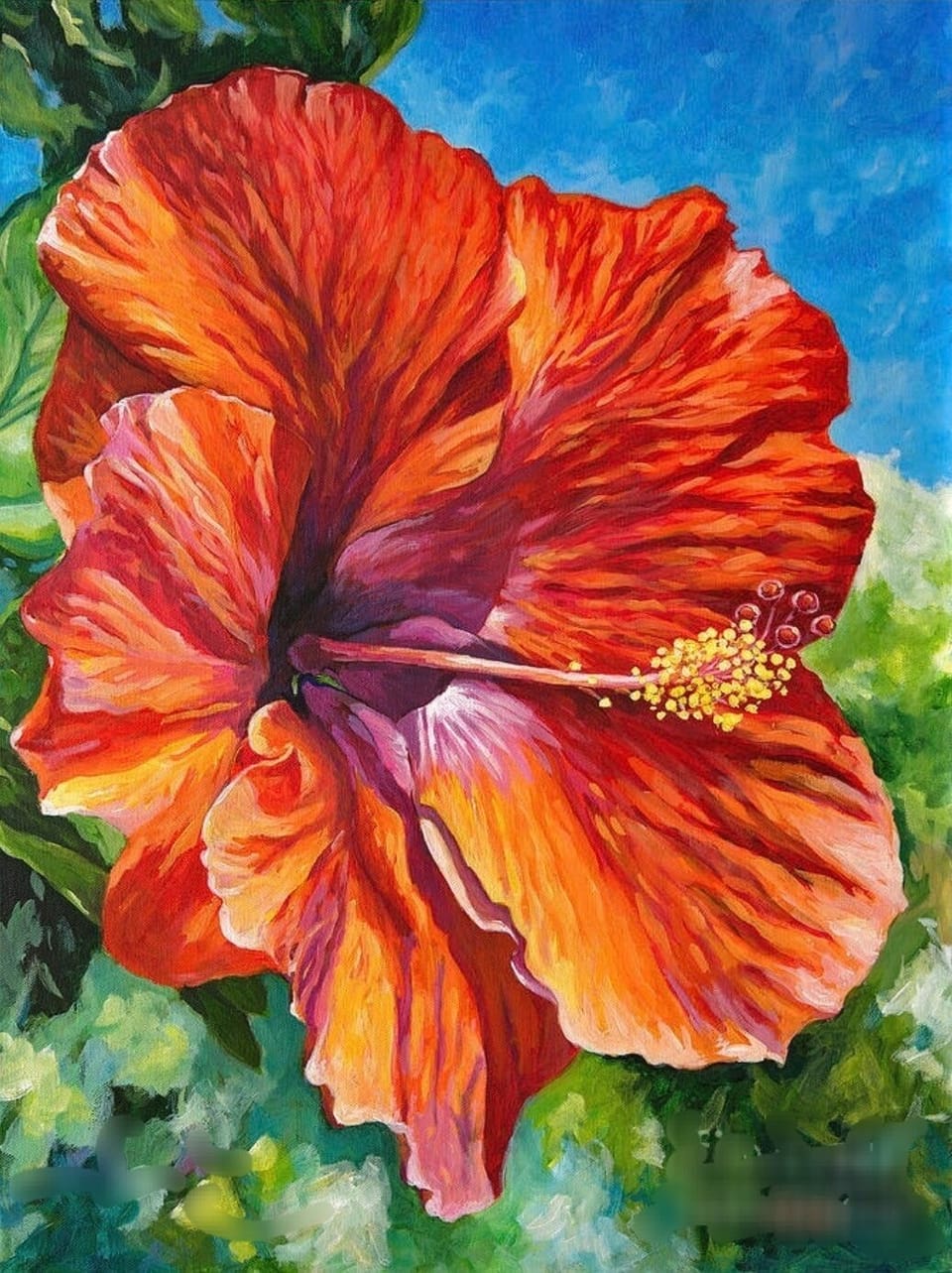 Hibiscus Flowers