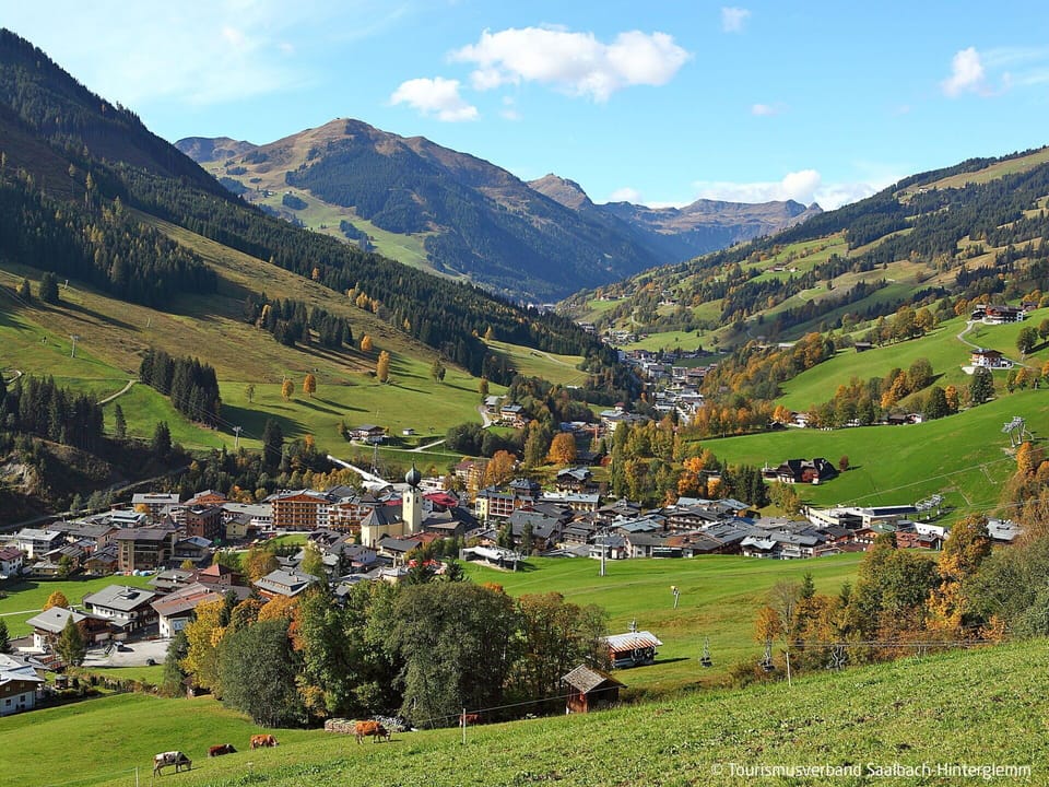Valley, Hill Station, Mountain Range, Mountain Village, Alps, Larch