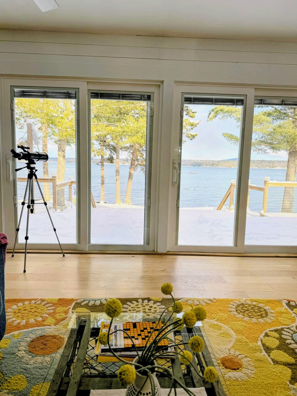Snowy Deck