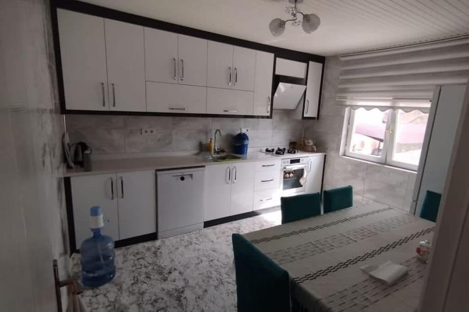 Apartment, City View, Garden Area | Private kitchen