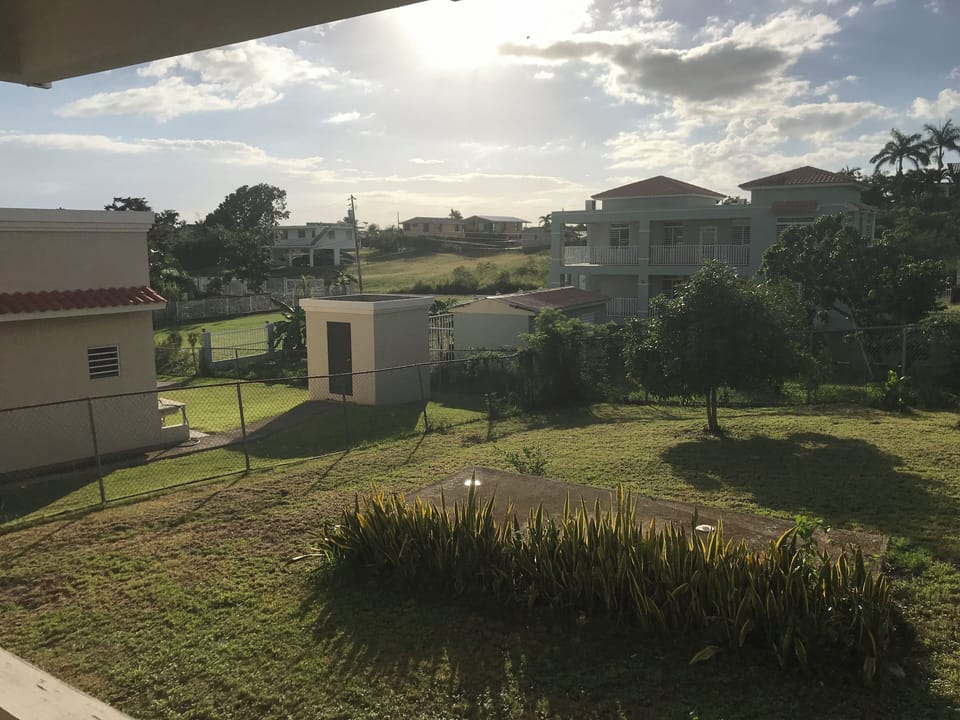 backyard view 