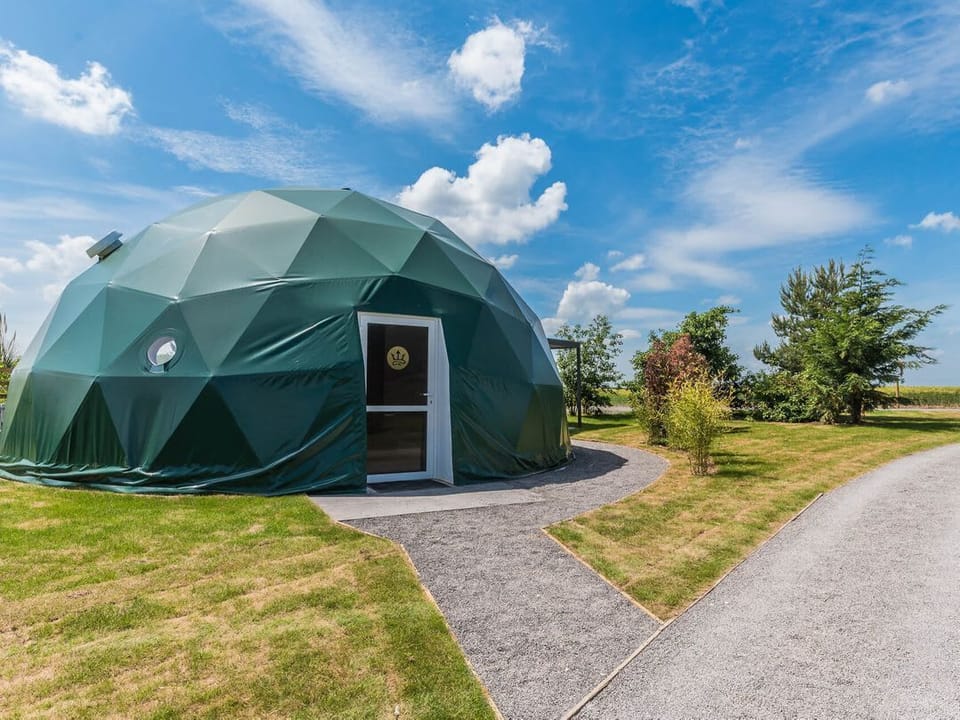 The Dome (Pet)