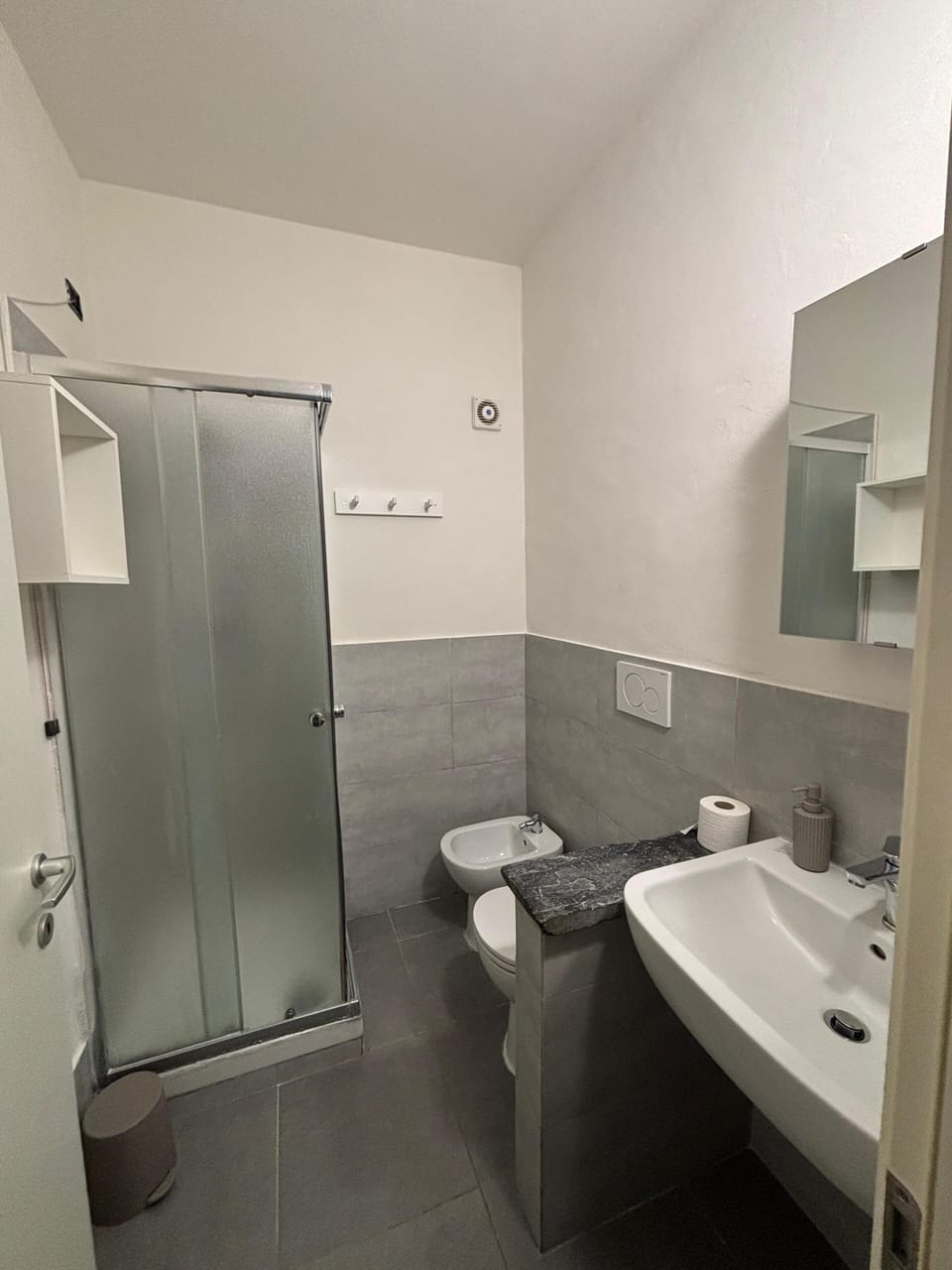 Hair dryer, soap, toilet paper