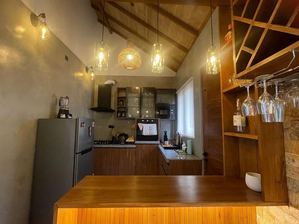 Fridge, microwave, oven, electric kettle