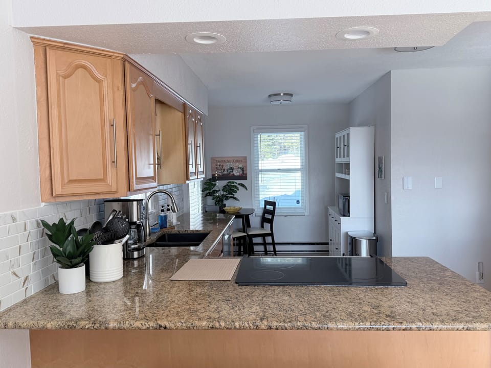 Open kitchen with lots of natural light