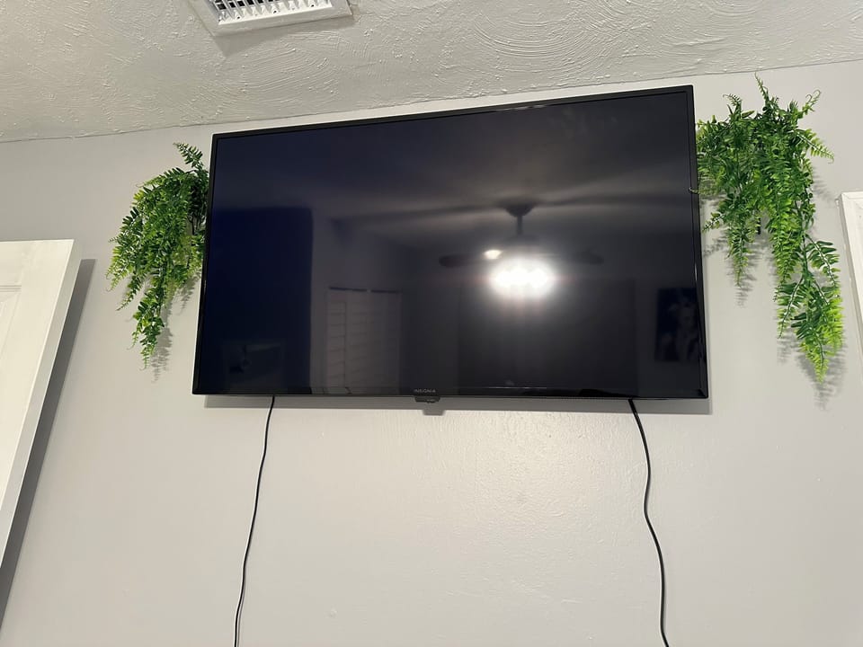 Television