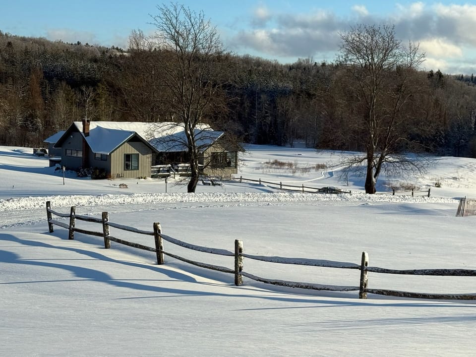 View from the north looking south with the groomed ski trail in the background.