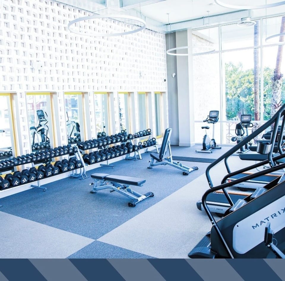 Professional weight room with a full range of dumbbells and training benches. 