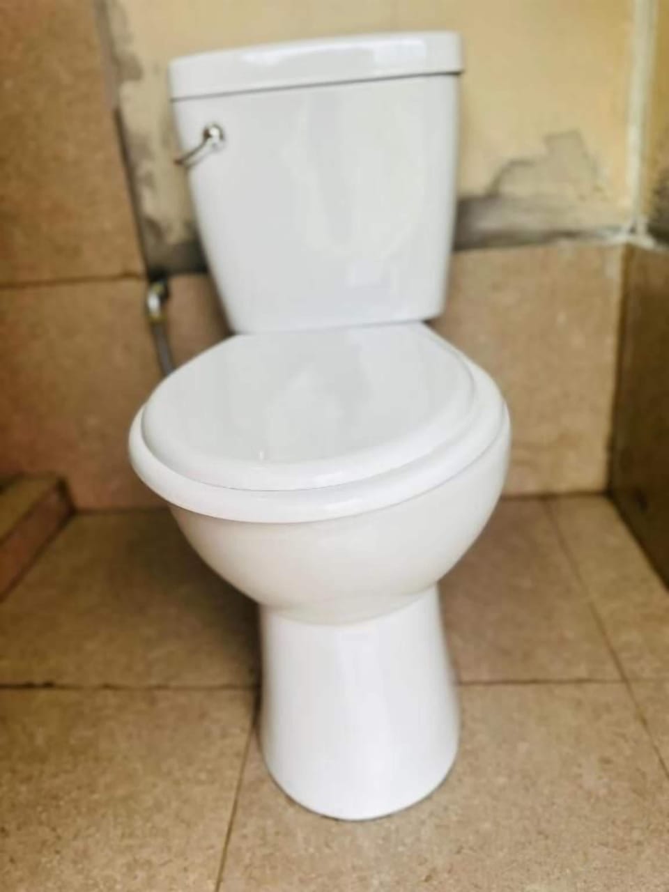 Shower, toilet paper