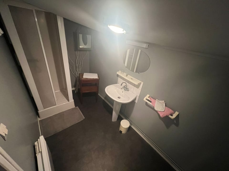 Double Room | Bathroom | Shower, towels, soap, shampoo