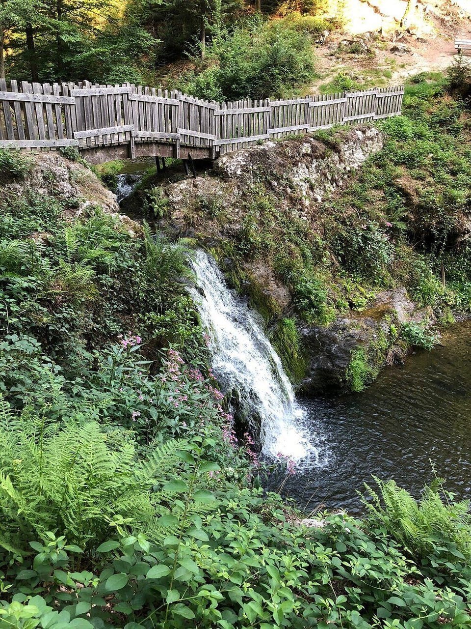 Miscellaneous