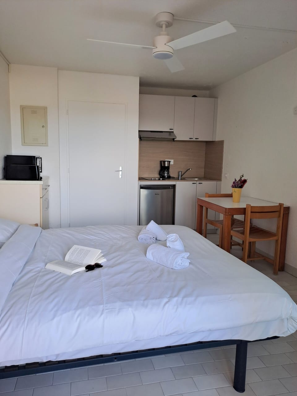 Basic Apartment, 1 Double Bed