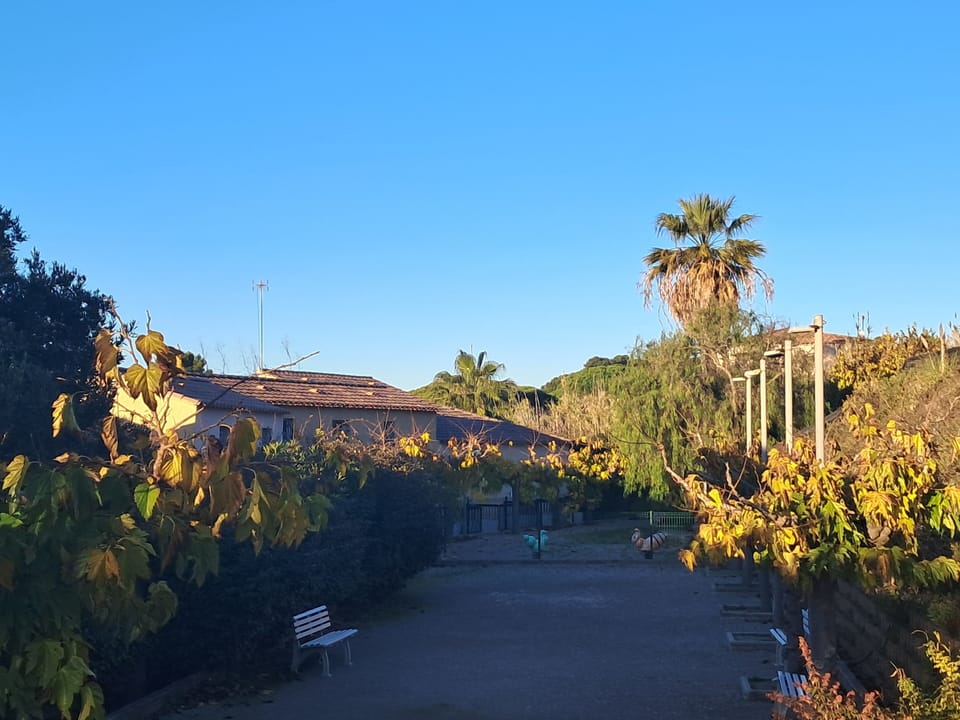 Property grounds
