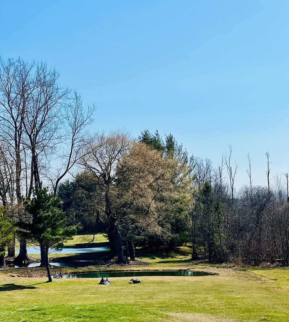 pond area