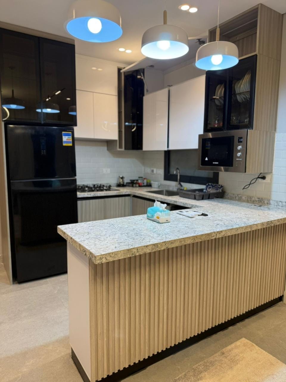 Full-size fridge, microwave