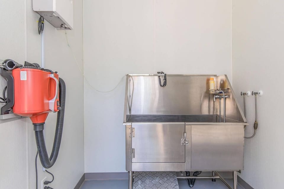 Pet-friendly amenities
