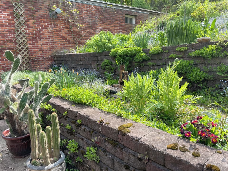The back yard is full of beautiful perennials. Relax and unwind!