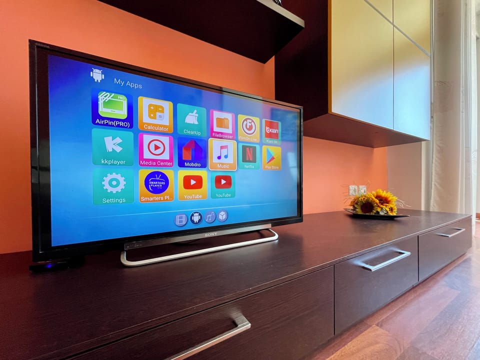 Television