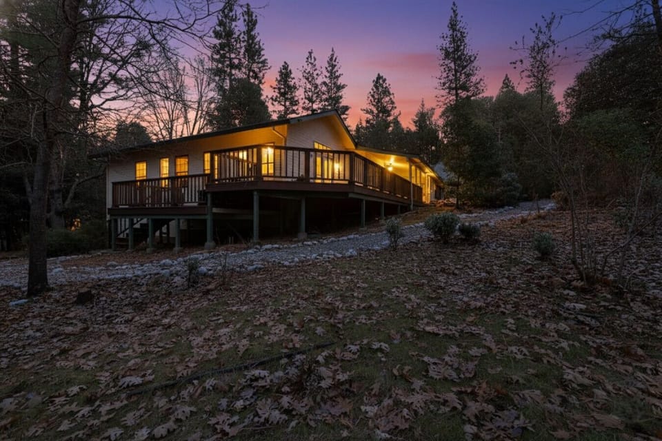 Cabin with beautiful pine tree surroundings