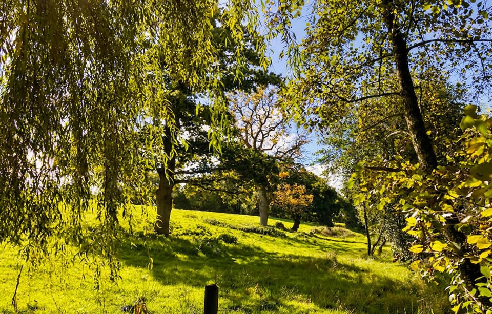 outside
