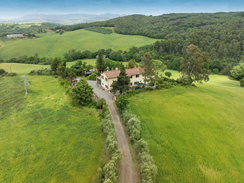 Green, Hill, Highland, Agriculture, Plantation, Hill Station, Field, Rural Area, Meadow, Pasture