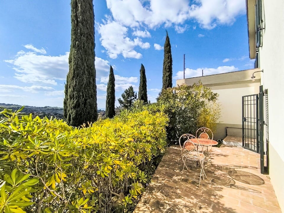 Shrub, Garden, Landscaping, Houseplant