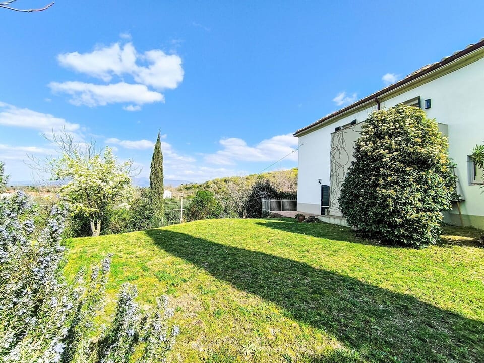 Garden, Lawn, Landscaping