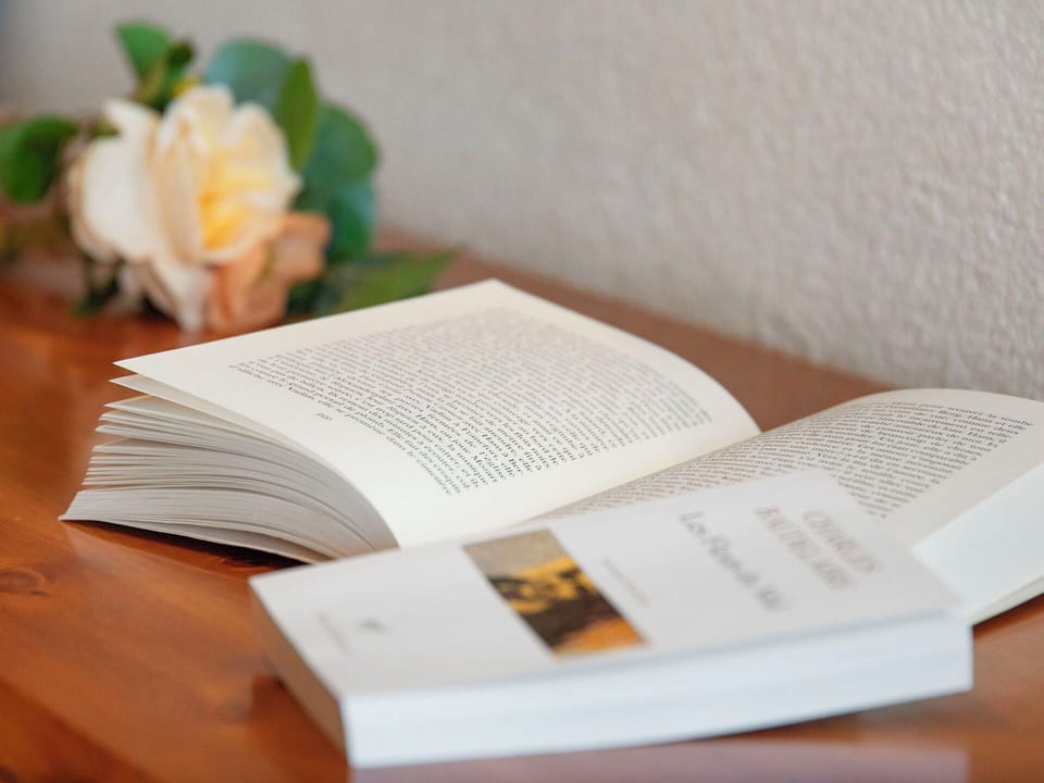 Book, Paper, Publication, Petal