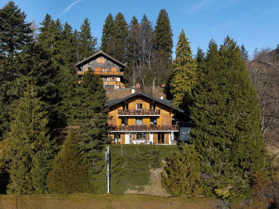 Tree, Branch, House, Home, Roof, Cottage, Larch, Estate, Evergreen