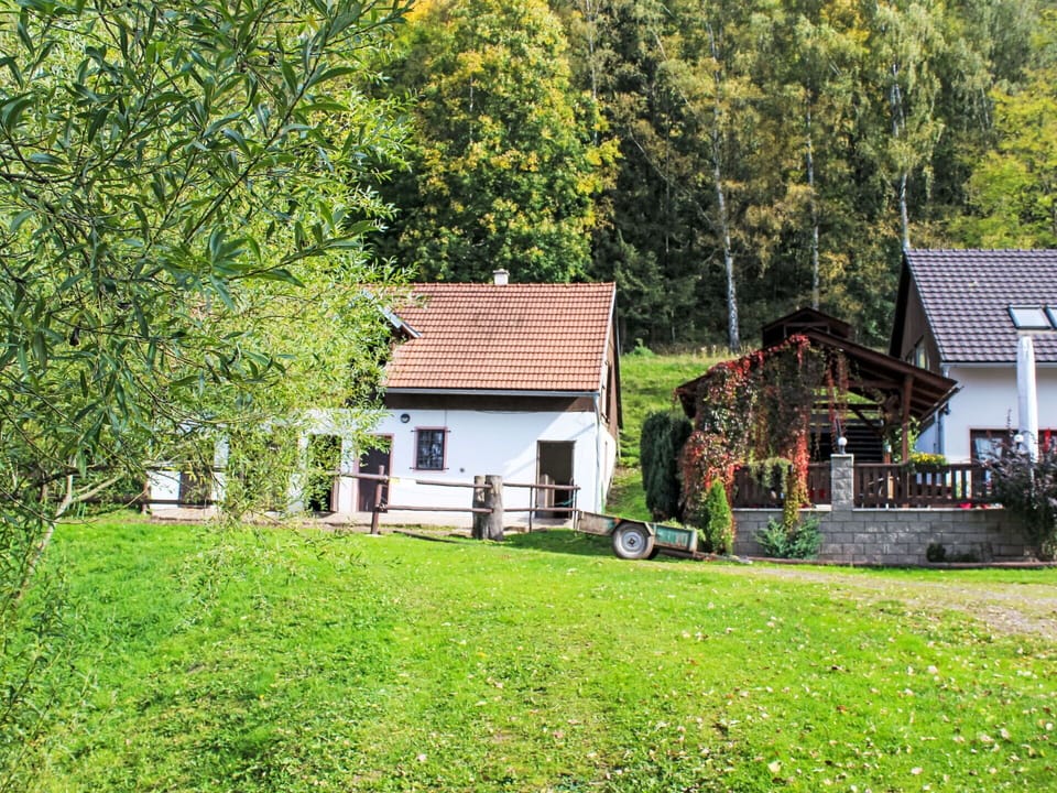 Tree, House, Cottage, Home, Rural Area, Farmhouse, Village, Garden, Lawn