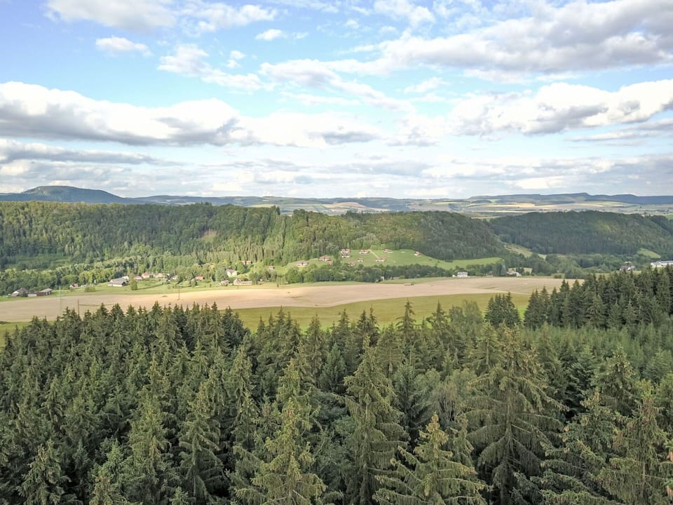 Natural Environment, Natural Landscape, Hill, Highland, Ecoregion, Forest, Wilderness, Hill Station, Larch