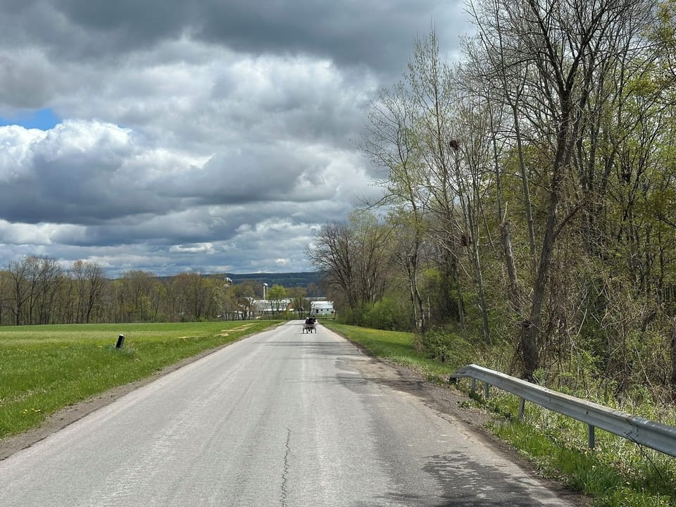 30 minute walk down quiet country road past Mennonite farm to Seneca Lake