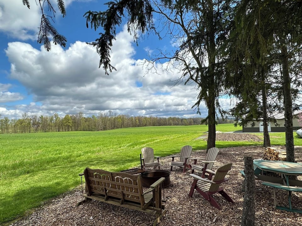 cozy outdoor picnic area behind house