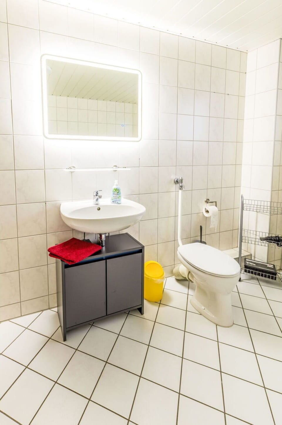 Flooring, Interior Design, Plumbing Fixture, Floor, Bathroom, Toilet Seat, Toilet, Plumbing, Tile, Bathroom Sink