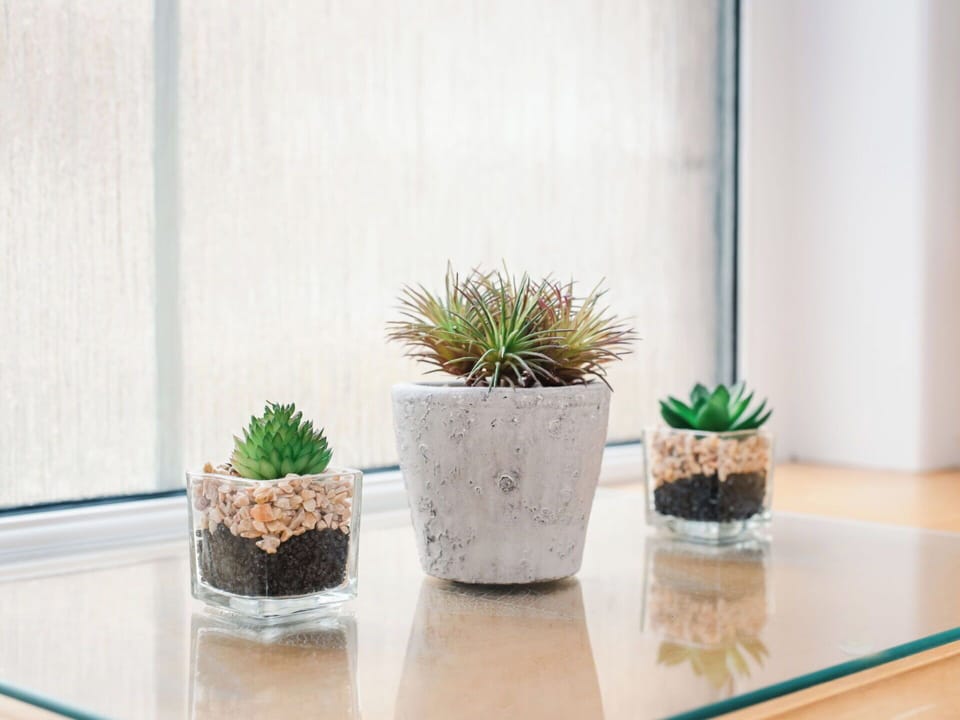 Flowerpot, Houseplant, Vase, Succulent Plant, Natural Material, Cactus, Herb