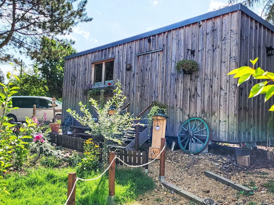 Wood, Cottage, Shed, Garden Buildings, Door, Siding, Hardwood, Wood Stain, Log Cabin, Garden
