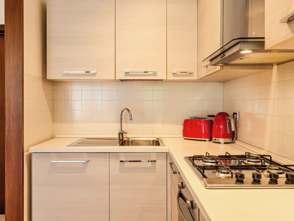 Kitchen Appliance, Kitchen, Countertop, Major Appliance, Kitchen Sink, Cabinetry, Kitchen Stove, Wood, Stove, Sink