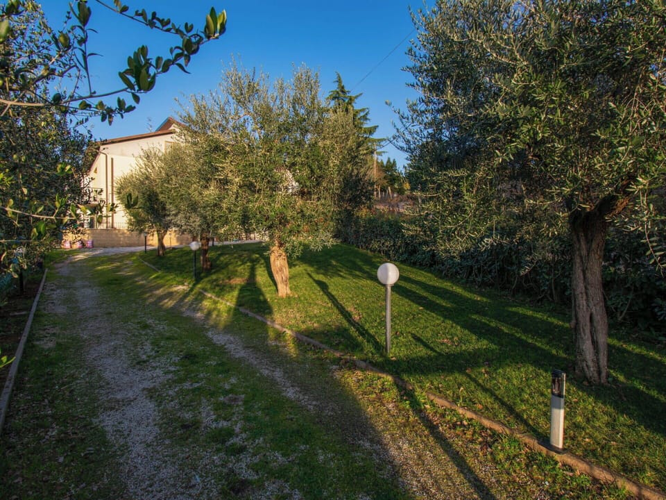 Grass, Leaf, Branch, Shrub, Garden, Sunlight, Twig, Morning, Lawn, Landscaping