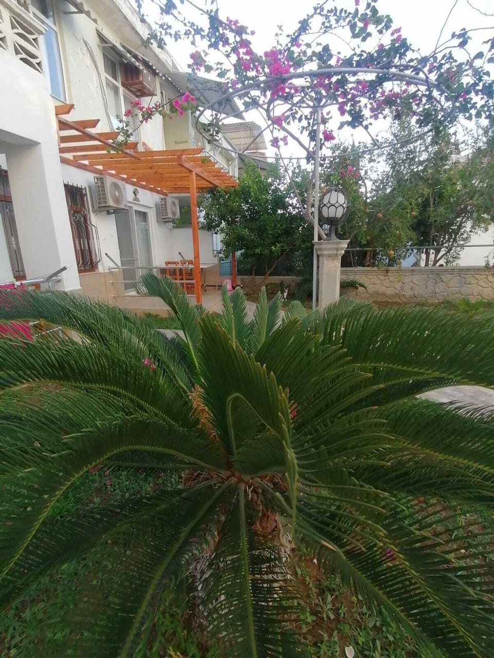 Classic Apartment, Garden View | Property grounds