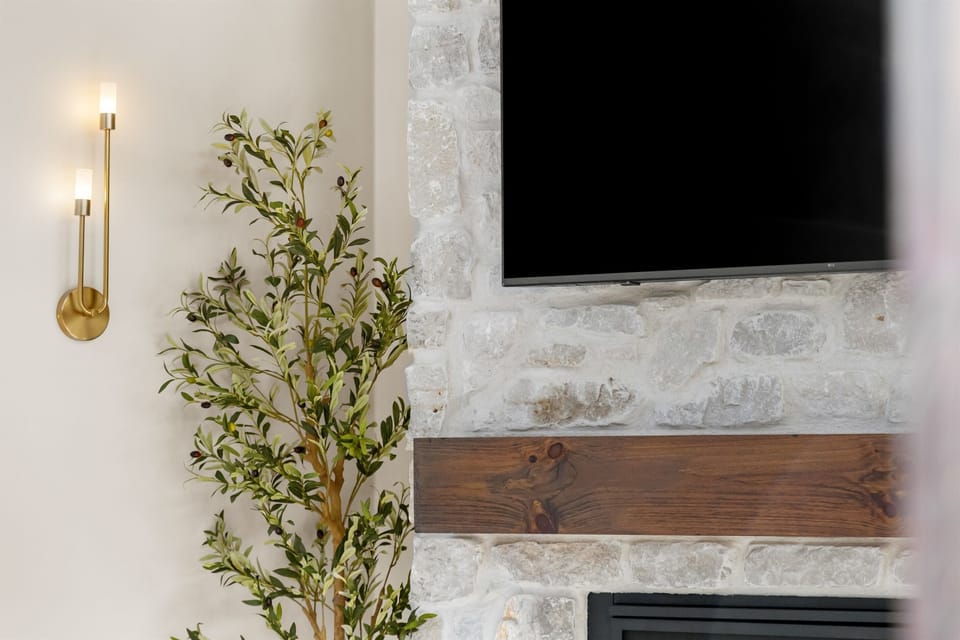 TV and Fireplace 