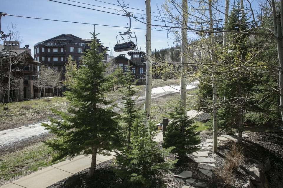 Tree, Fir, Nature, Outdoors, Transportation