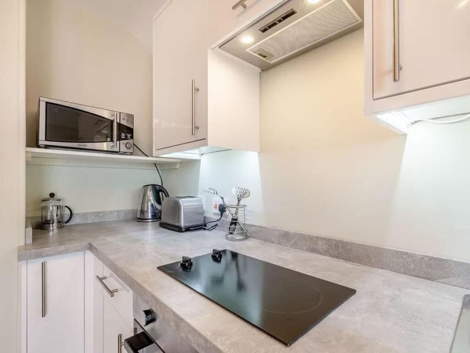Deluxe Apartment, Pets Allowed, Sea View | Private kitchen